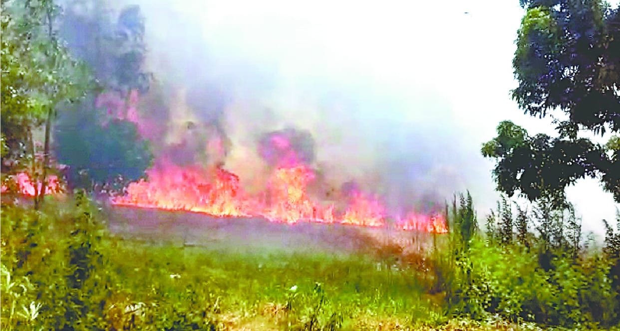 Wheat burnt in Sitarganj