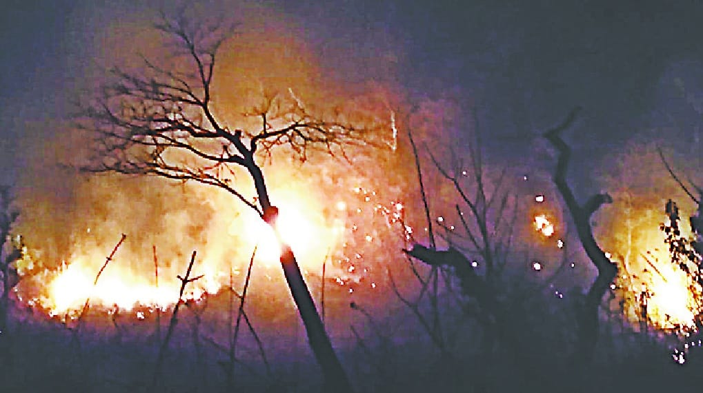 Shivalik jungle rising above fire