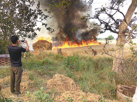 75 bigha crops burnt by fire, jammed on fire