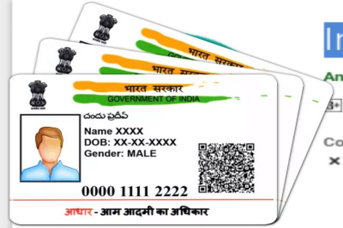 Aadhaar UIDAI Identity document Permanent account number India, emblem of  india, logo, india png | PNGEgg