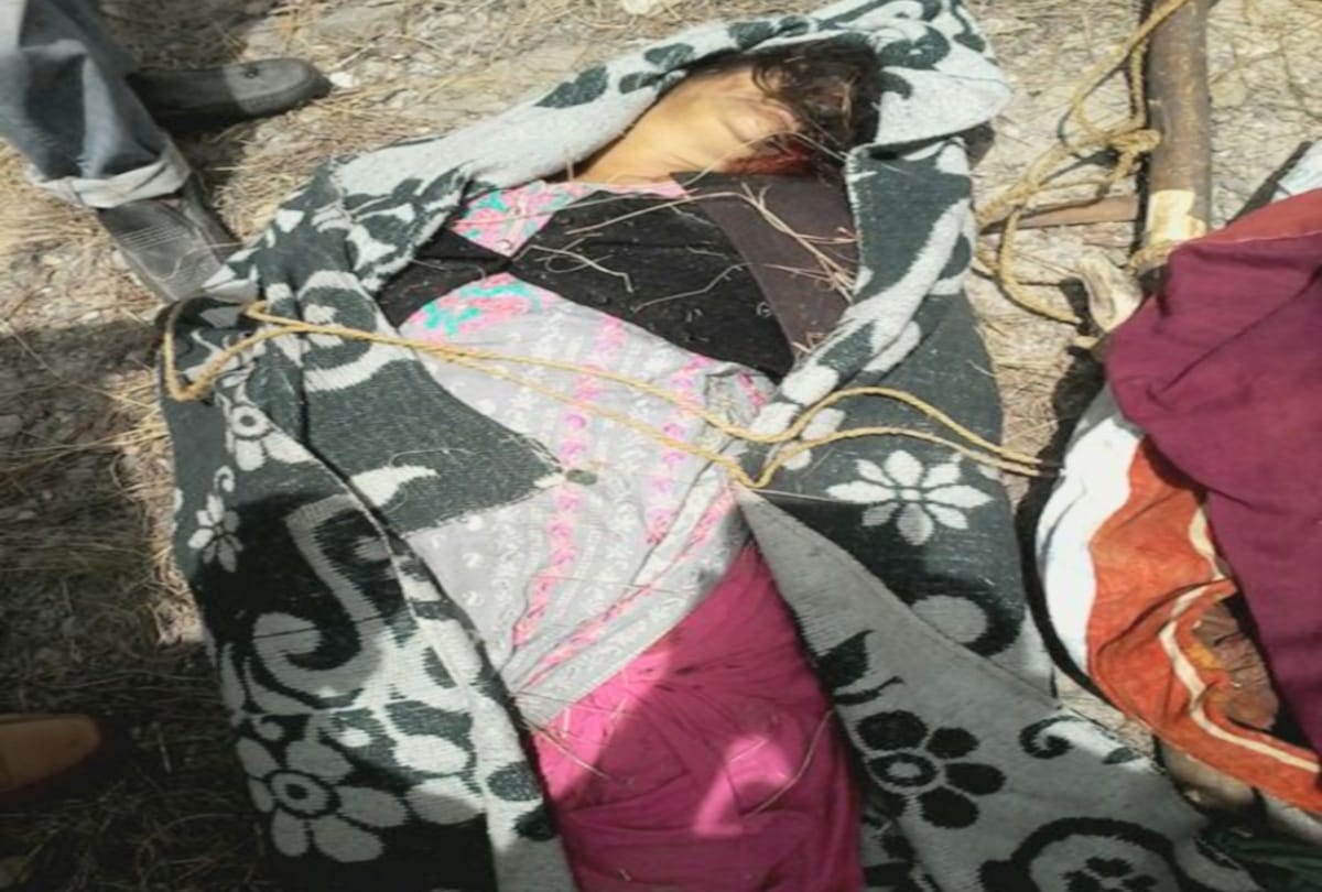 six people killed in road accident at nerwa shimla