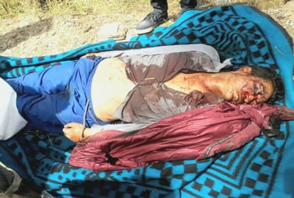 six people killed in road accident at nerwa shimla