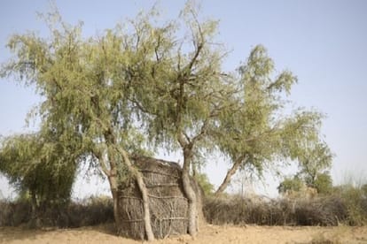 The story behind the death of three minors in Barmer in Rajasthan