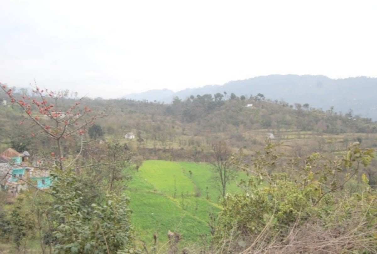 union health ministry demands 900 bigha additional land from himachal