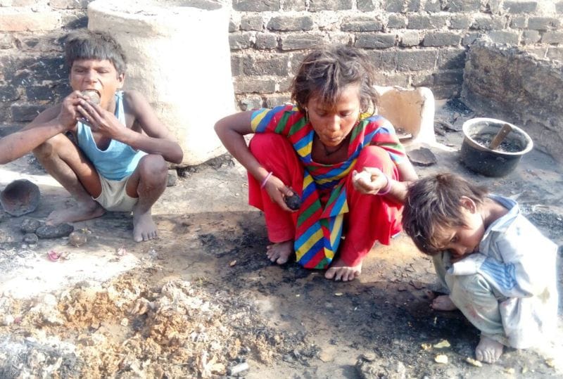 जले हुए आलू खाकर बच्चों ने भरा पेट