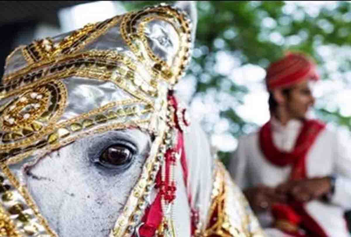 police caught groom from wedding