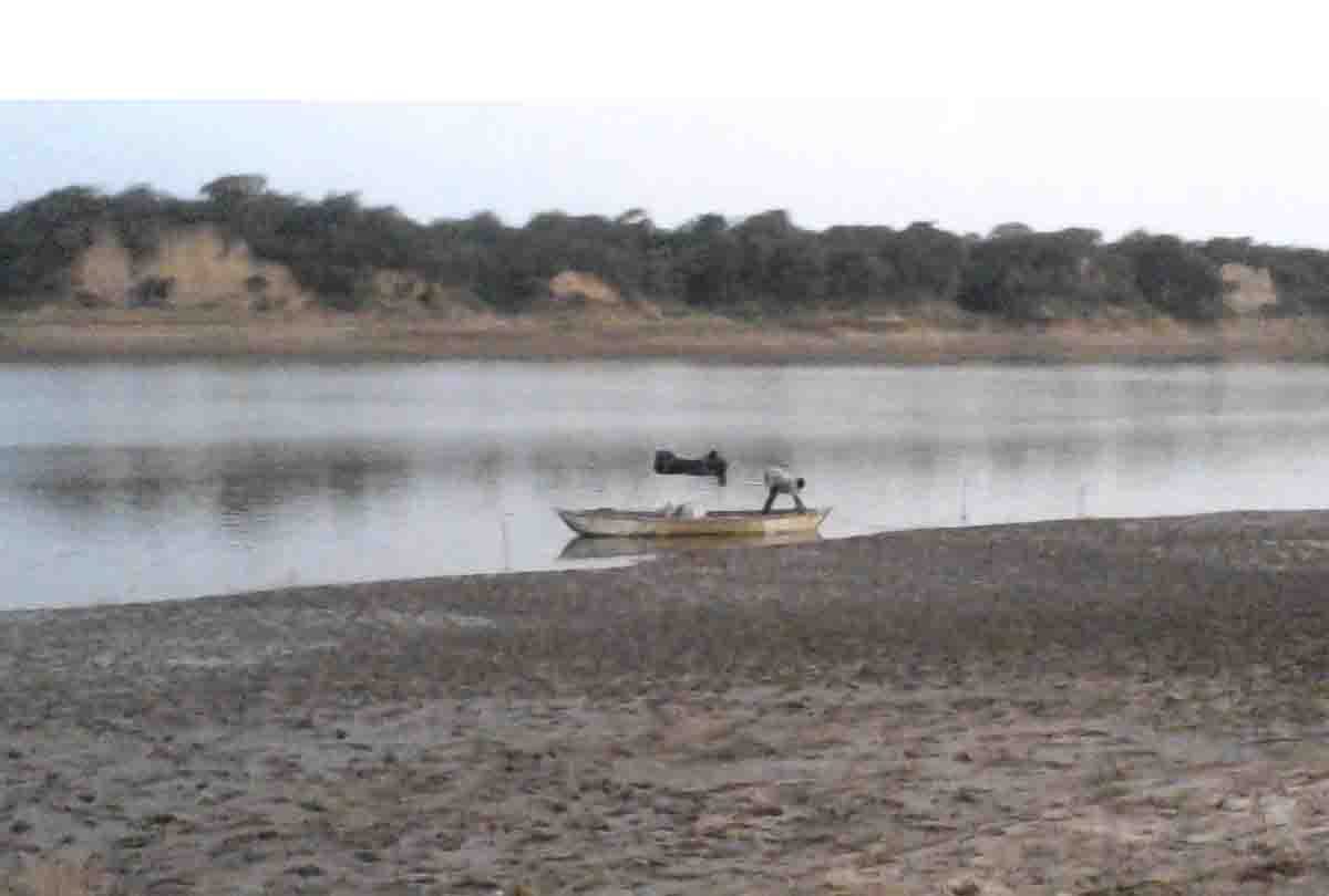 two friends sinking in yamuna betwa river in hamirpur