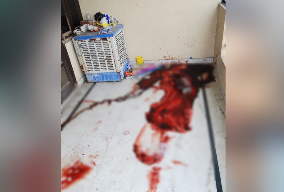 Wife murdered and Suicide case : love begins from Dish antenna dish antenna installation 