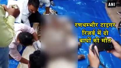 2 tigers found dead at Ranthambore National Park, know the reason