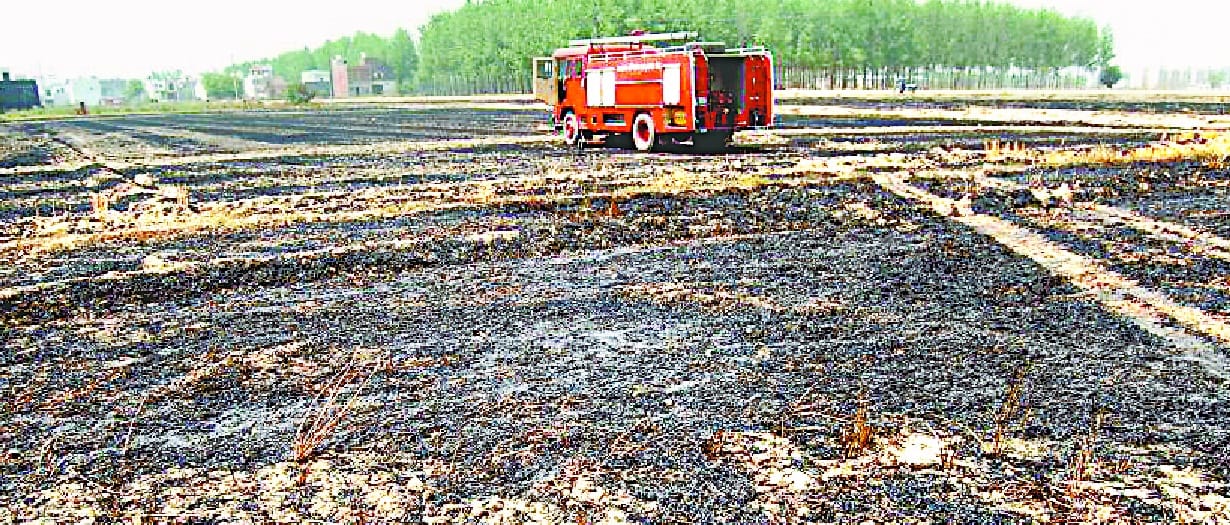 10 acres Wheat burns in Bagwada village 