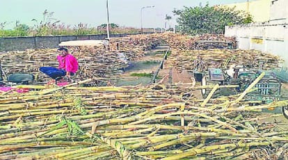 Yogi Sarkar's claim fail, 35000 sugarcane farmers did not get payment