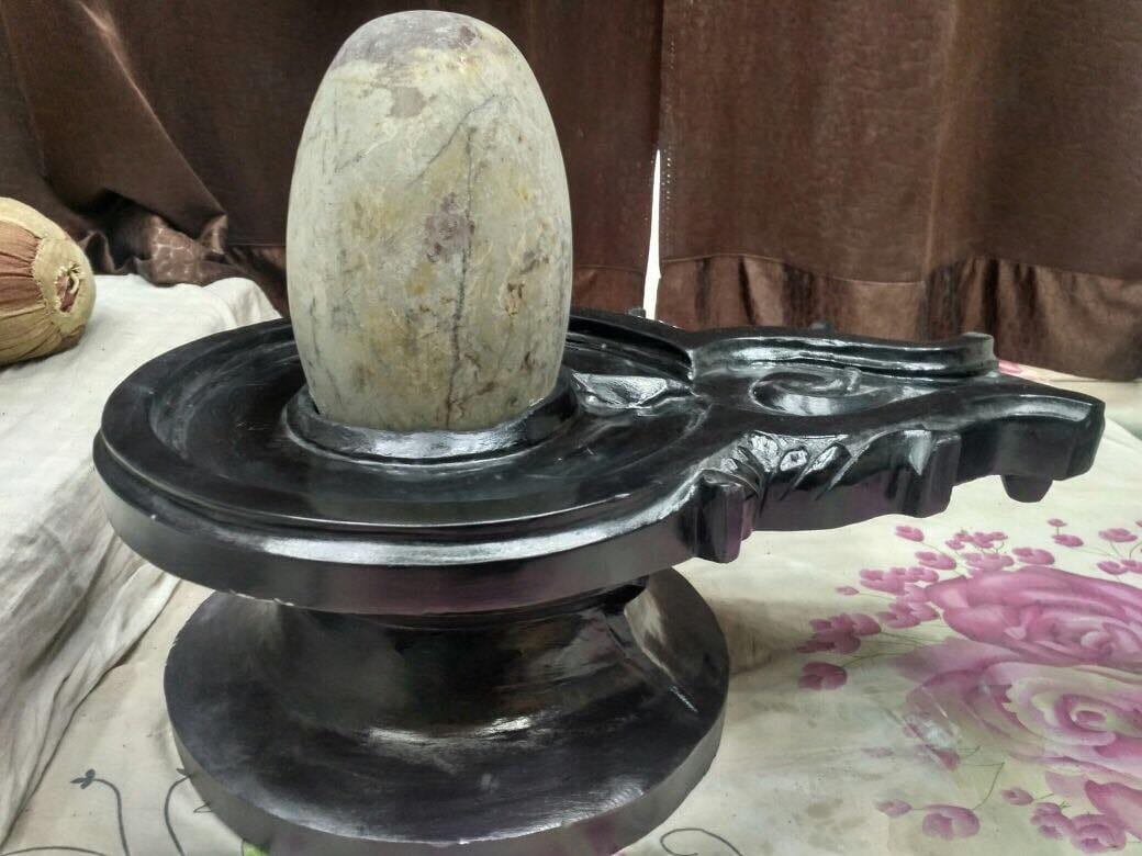 amar ujaleshwar mahadev mandir pran pratishtha on 21 april 2018
