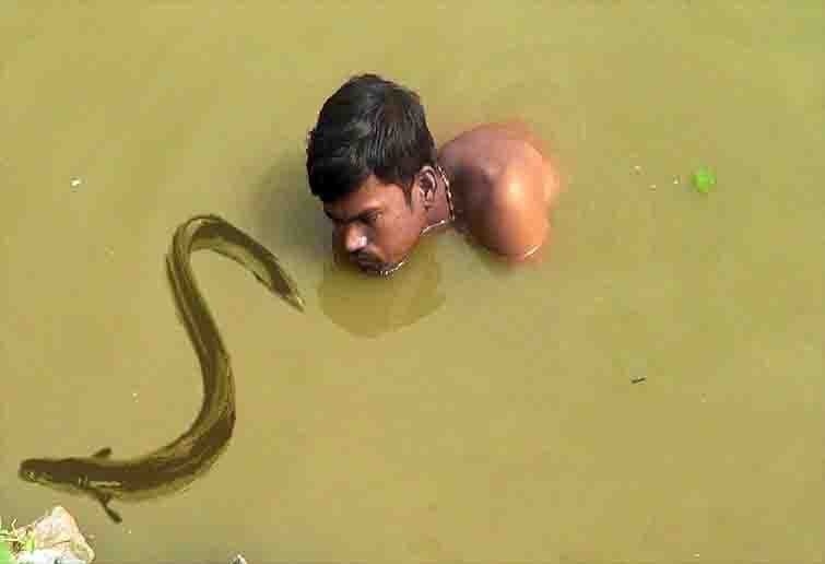 Illegal Fishing is crime in india