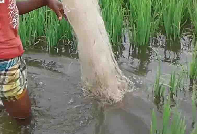 Illegal Fishing is crime in india