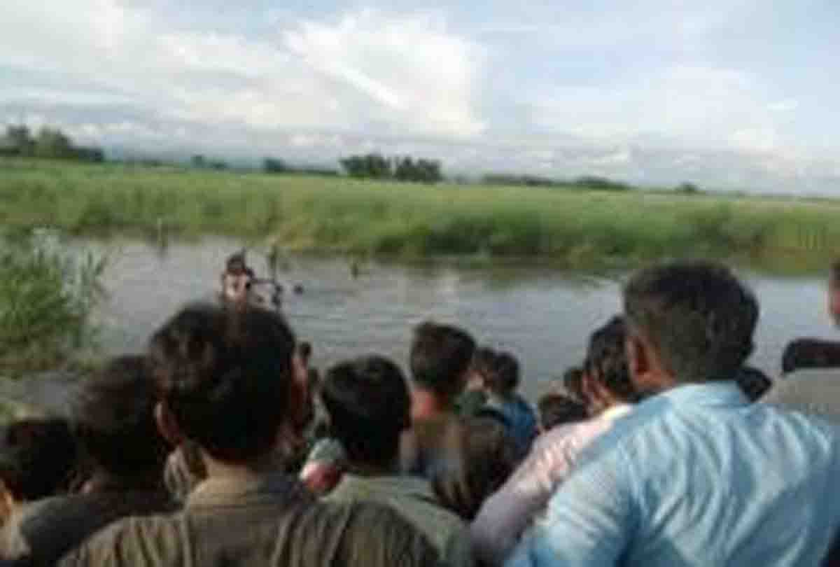 two brothers dead body found in river at hamirpur