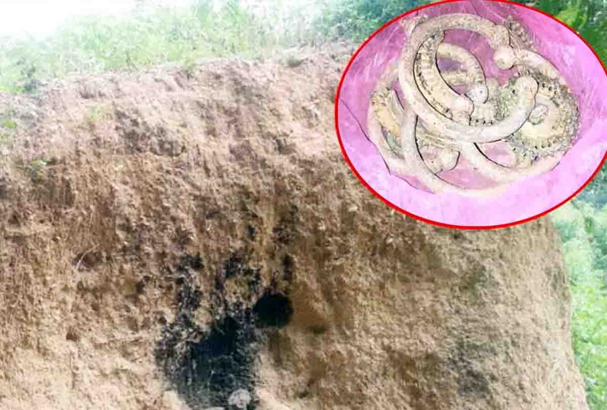 excavated laborers got treasure