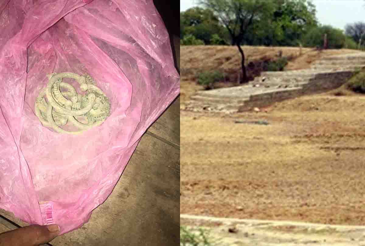 excavated laborers got treasure