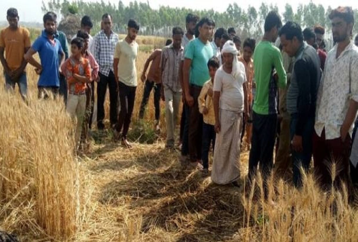 six year old girl dead body found in field at Pilibhit of uttar pradesh
