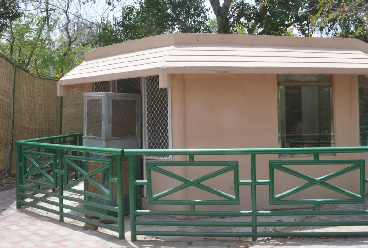 lifestyle of animals during summer in lucknow zoo