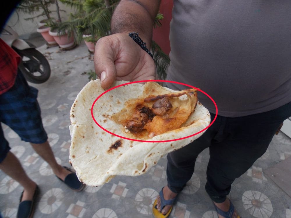 mouse found in kadai paneer