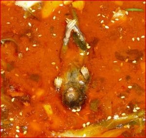 mouse found in kadai paneer