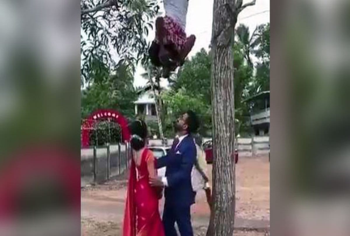 video being viral of this photographer hangs on a tree to get perfect click
