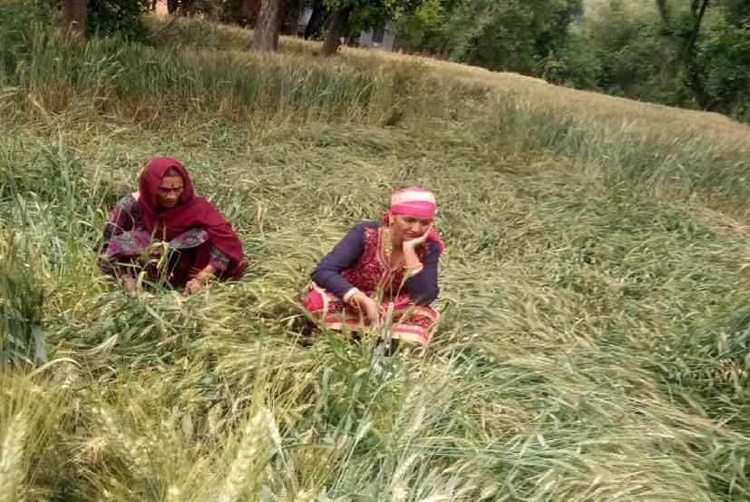 आसमान से बरसी आफत; बत्ती गुल, फसल तबाह