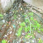 पिथौरागढ़ नगर में नालियों से गुजरती पेयजल लाइनें
