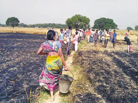 Fire from the transformer spark, four beed crops, ash