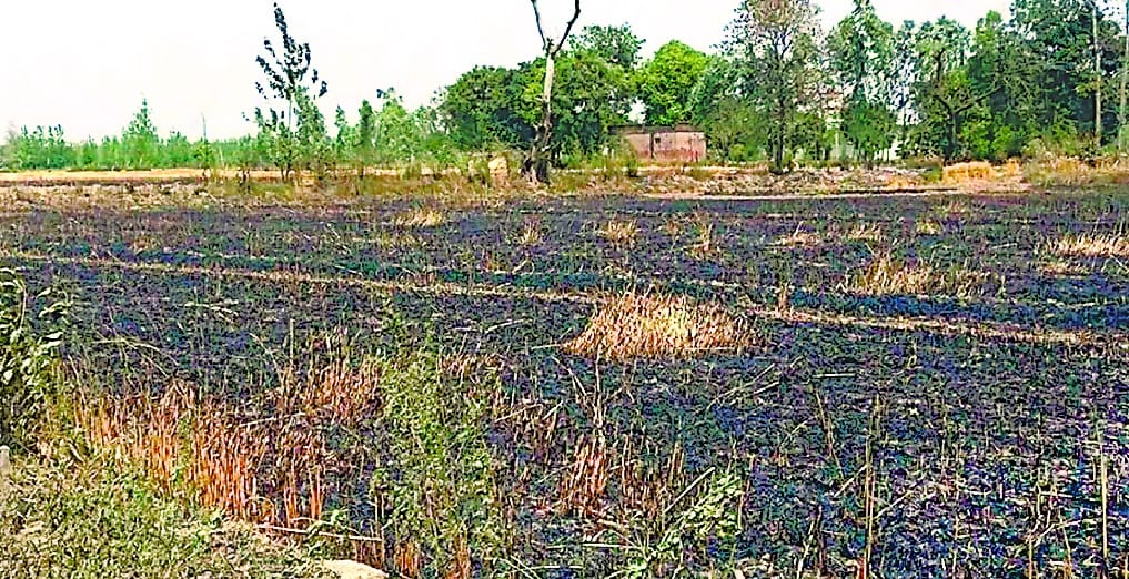 17 acre wheat field sat fire