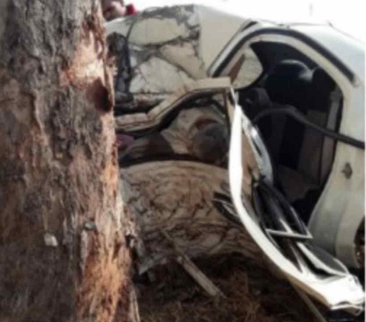 Five people include three children died in road accident