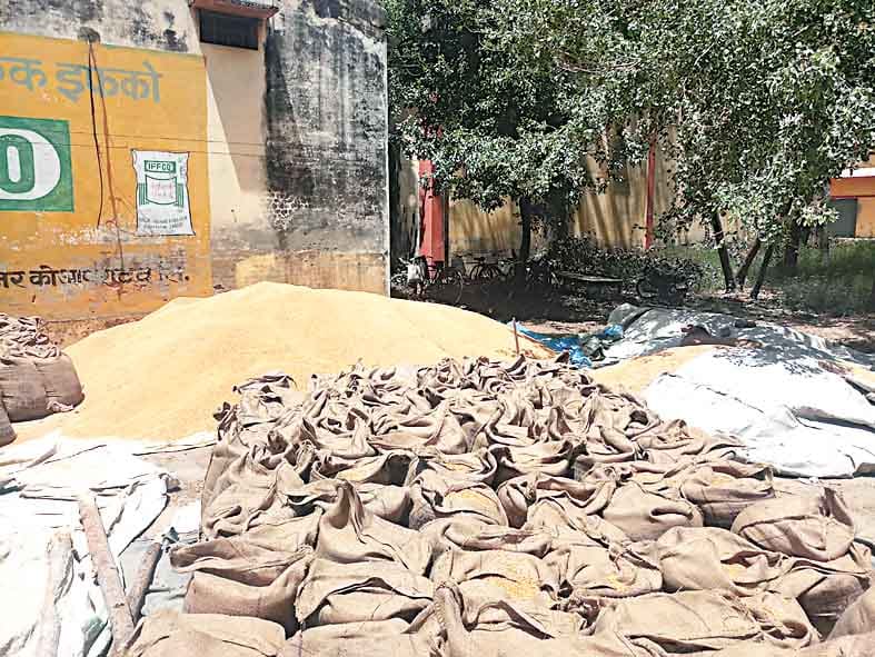 cheating in wheat purchasing