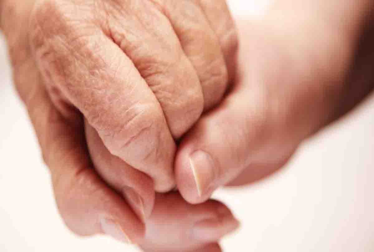 Bahu made fake lawsuit on father-in-law