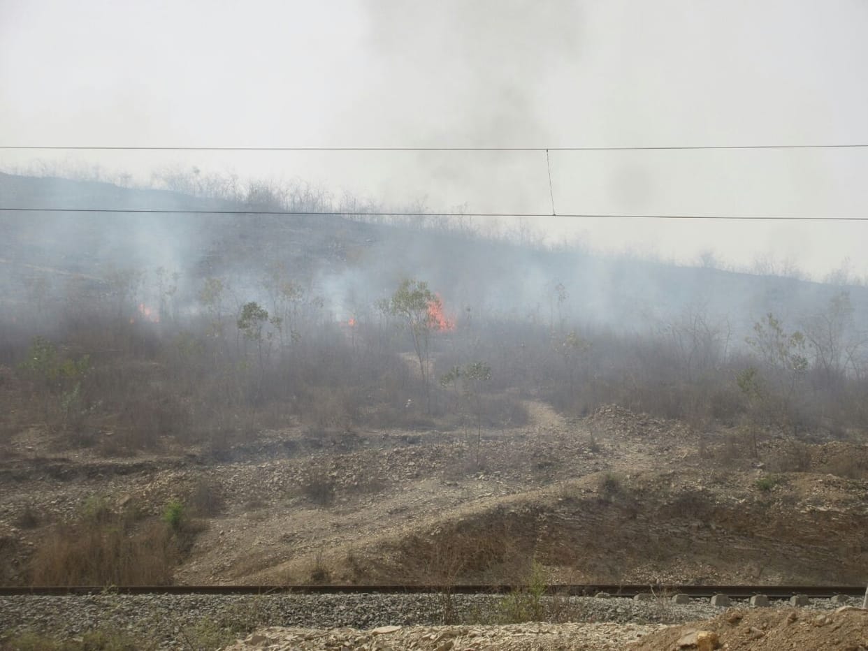 Cuiya soil of fire in forest