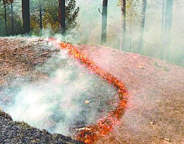 Fire brigade in the jungles of Dhungtali and Separa