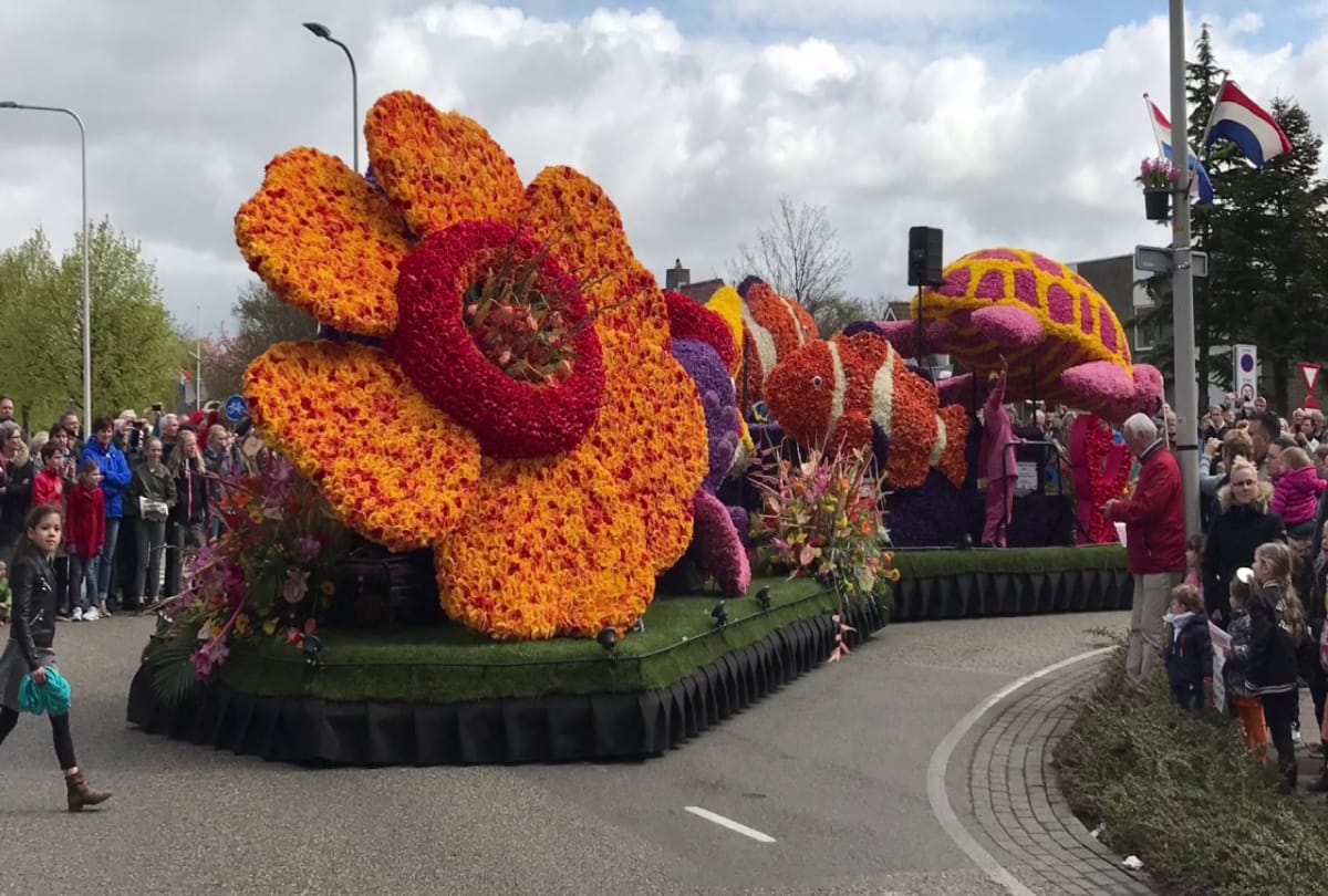 Worlds largest flower parade in Netherlands
