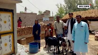 Man sells off his 7 goats to construct toilet