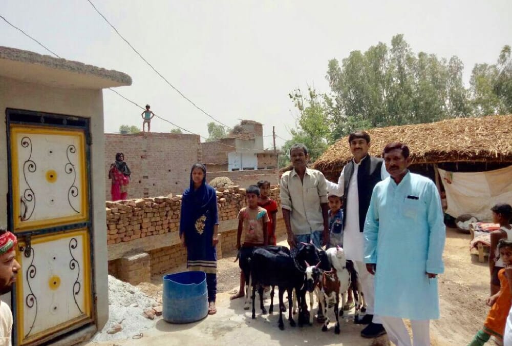 jabbar gets his goats back which he sold to build toilet.