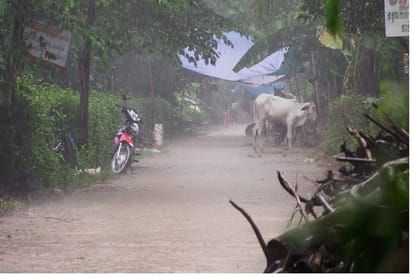 Madden Julian oscillation (MJO) will bring good rain throughout the country