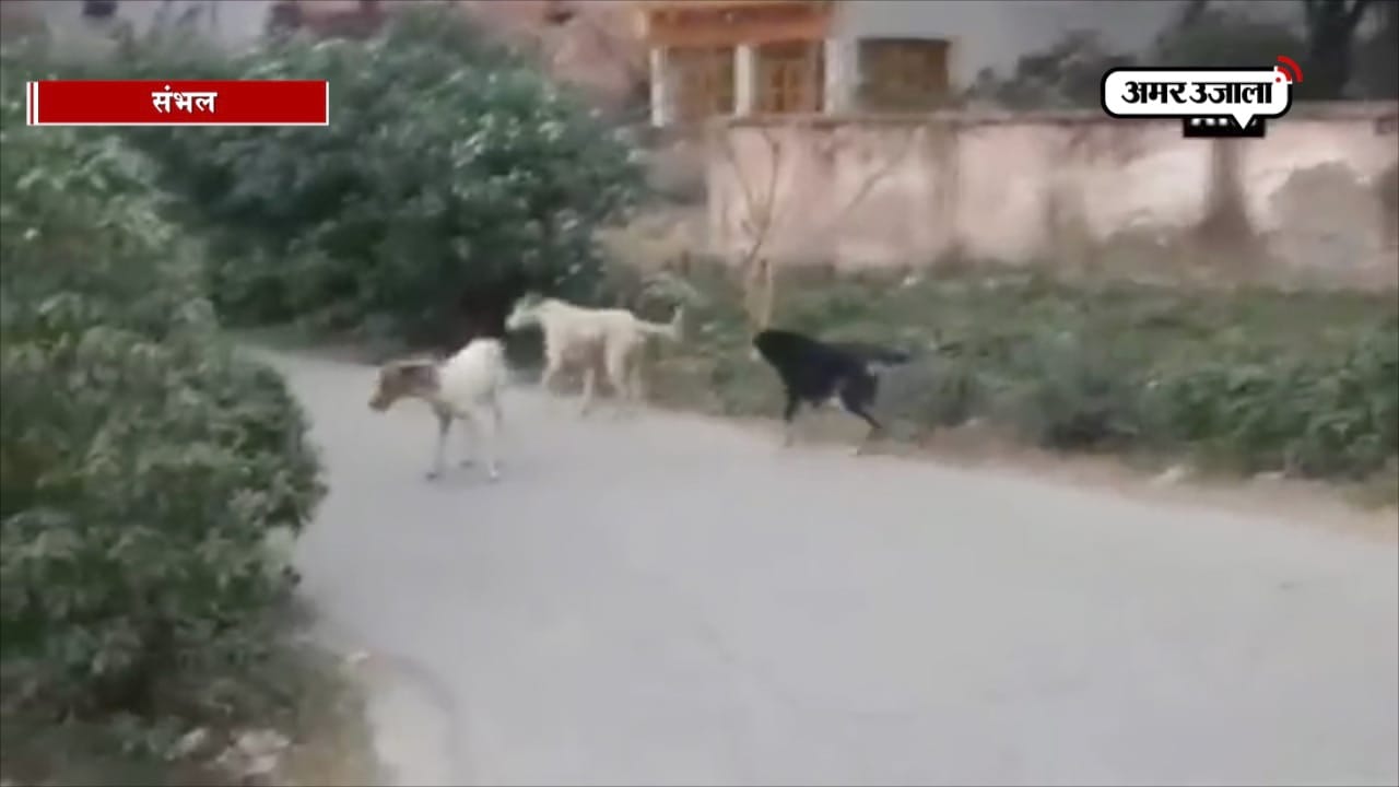 संभल