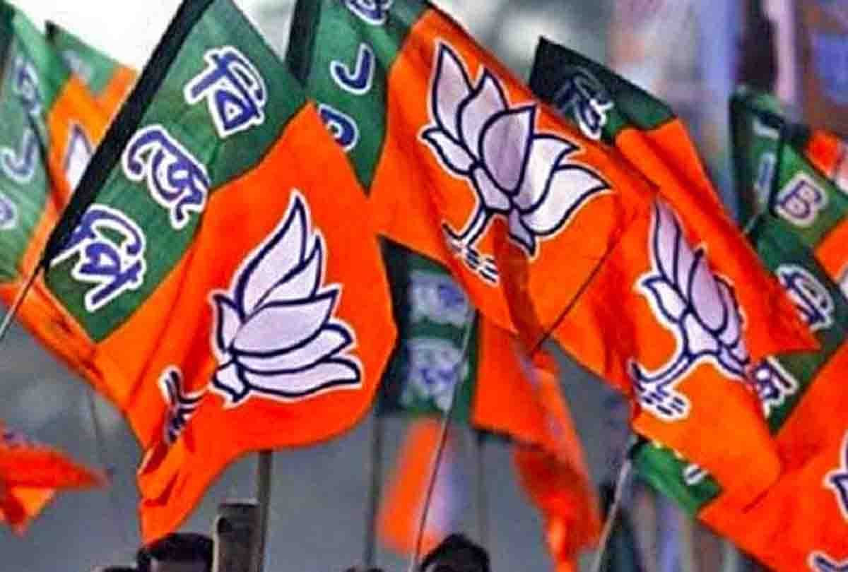 bjp strategy to win 2019 election