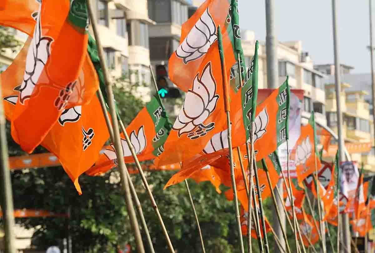 bjp strategy to win 2019 election