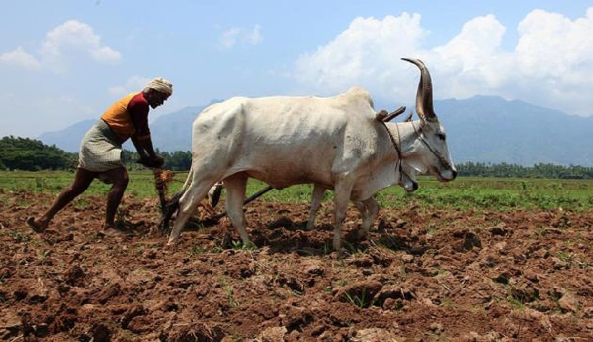 A farmer tried to suicide after wrote suicide note in madhya pradesh