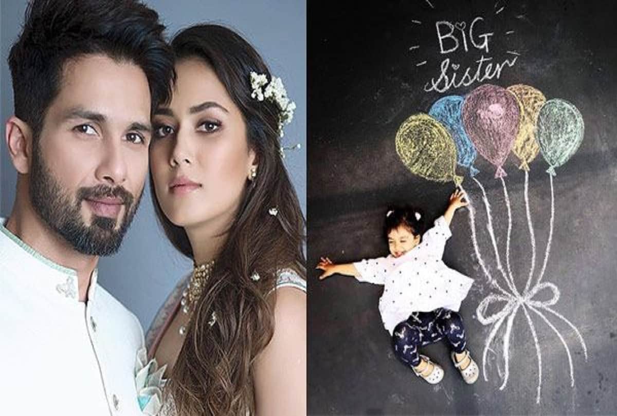  shahid kapoor says mira wants to share pregnancy news with all 