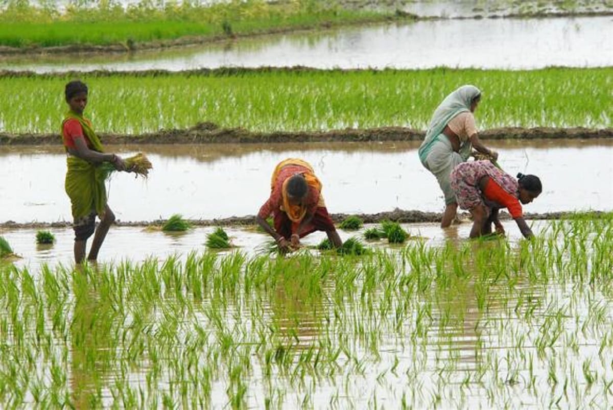 high rains in june will be boost kharif sowing