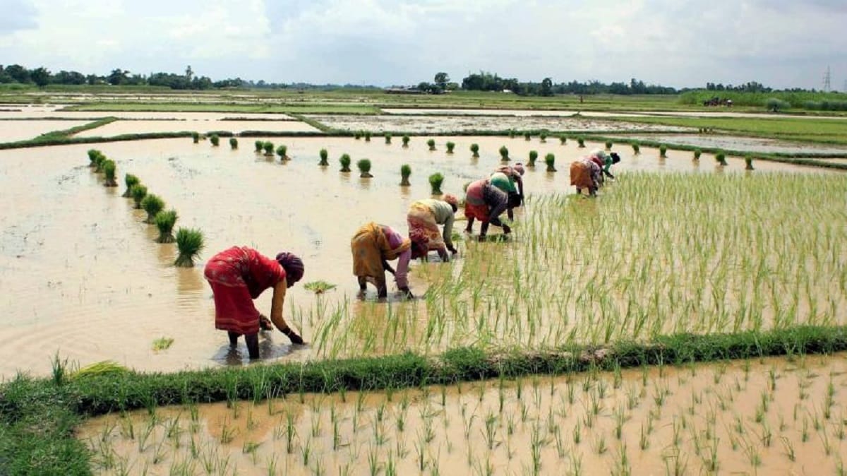  IMD refused Skymates claim, predicts good rainfall in August