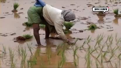 Modi government introducing scem for social security 