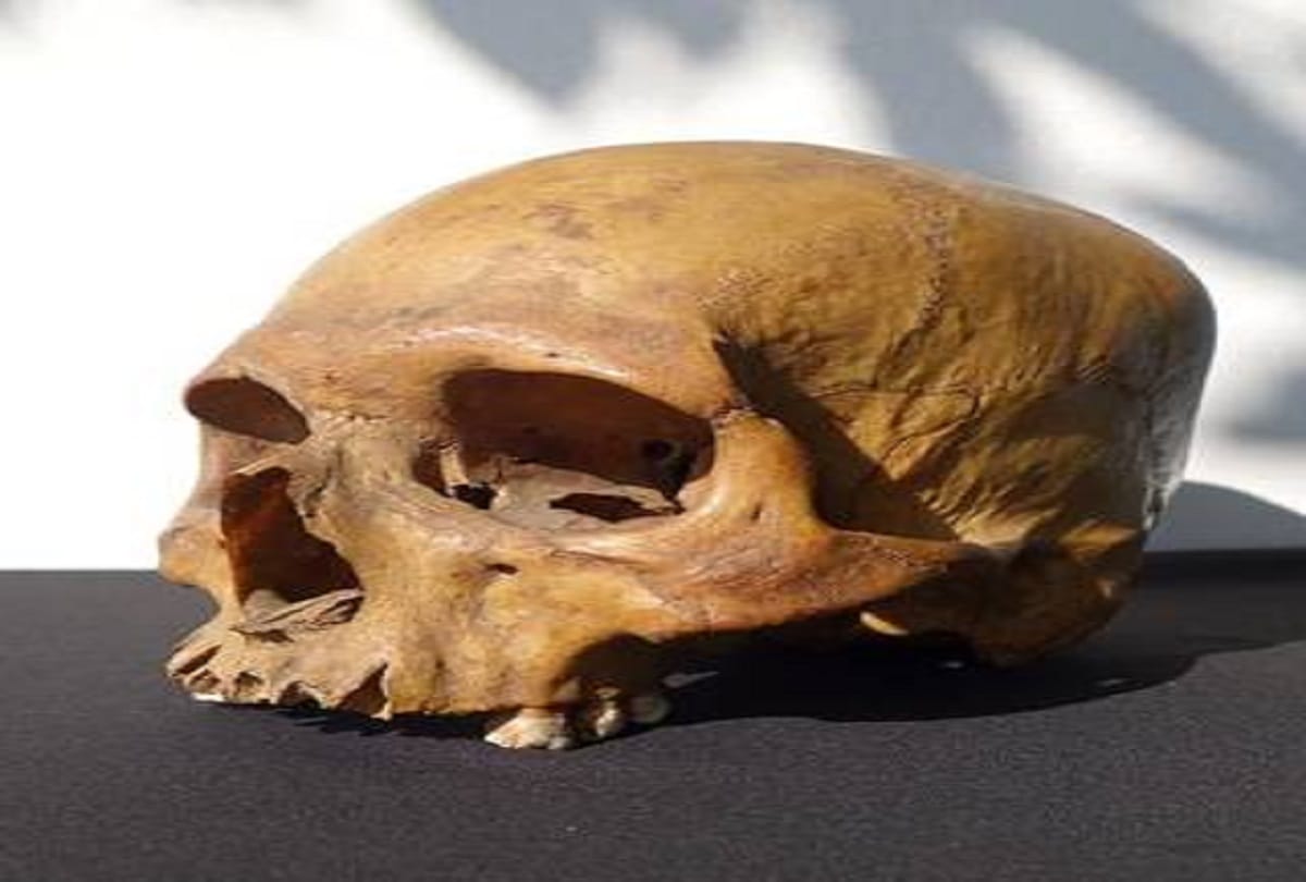 Freedom fighter Alam Beg is The head found in London Pub