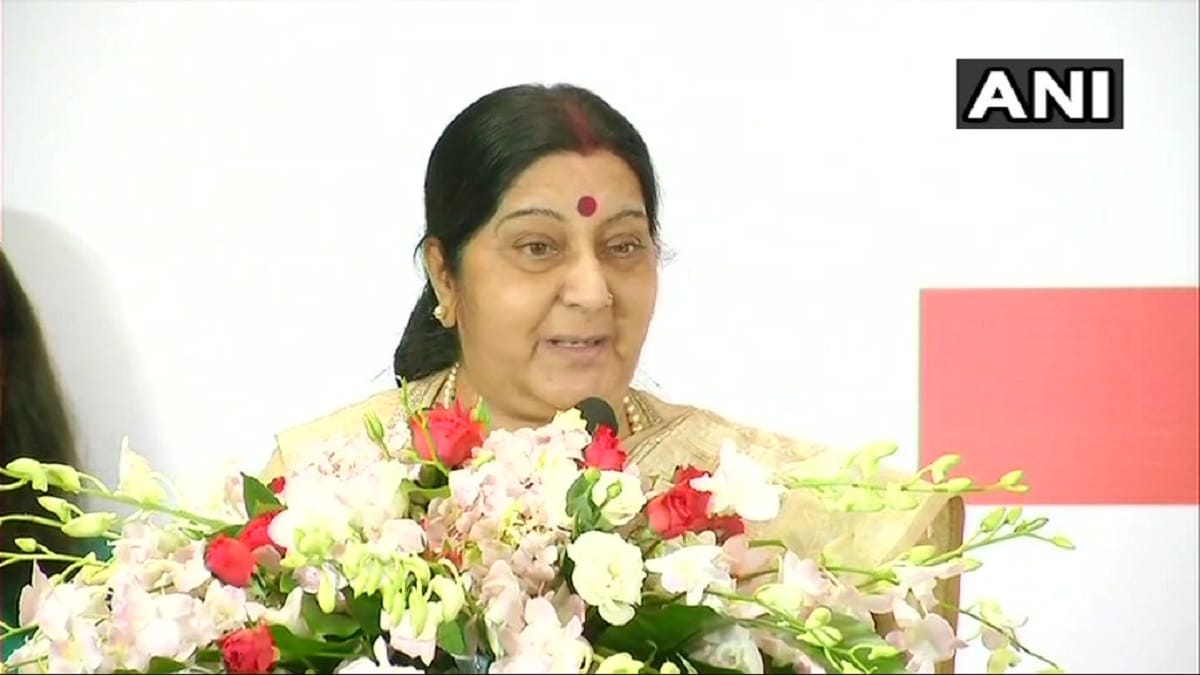 friendship of India & China Sushma Swaraj said It is very important to know languages of each other
