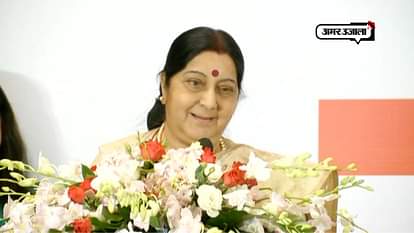 sushma swaraj talks about contribution of hindi language in friendship of india china